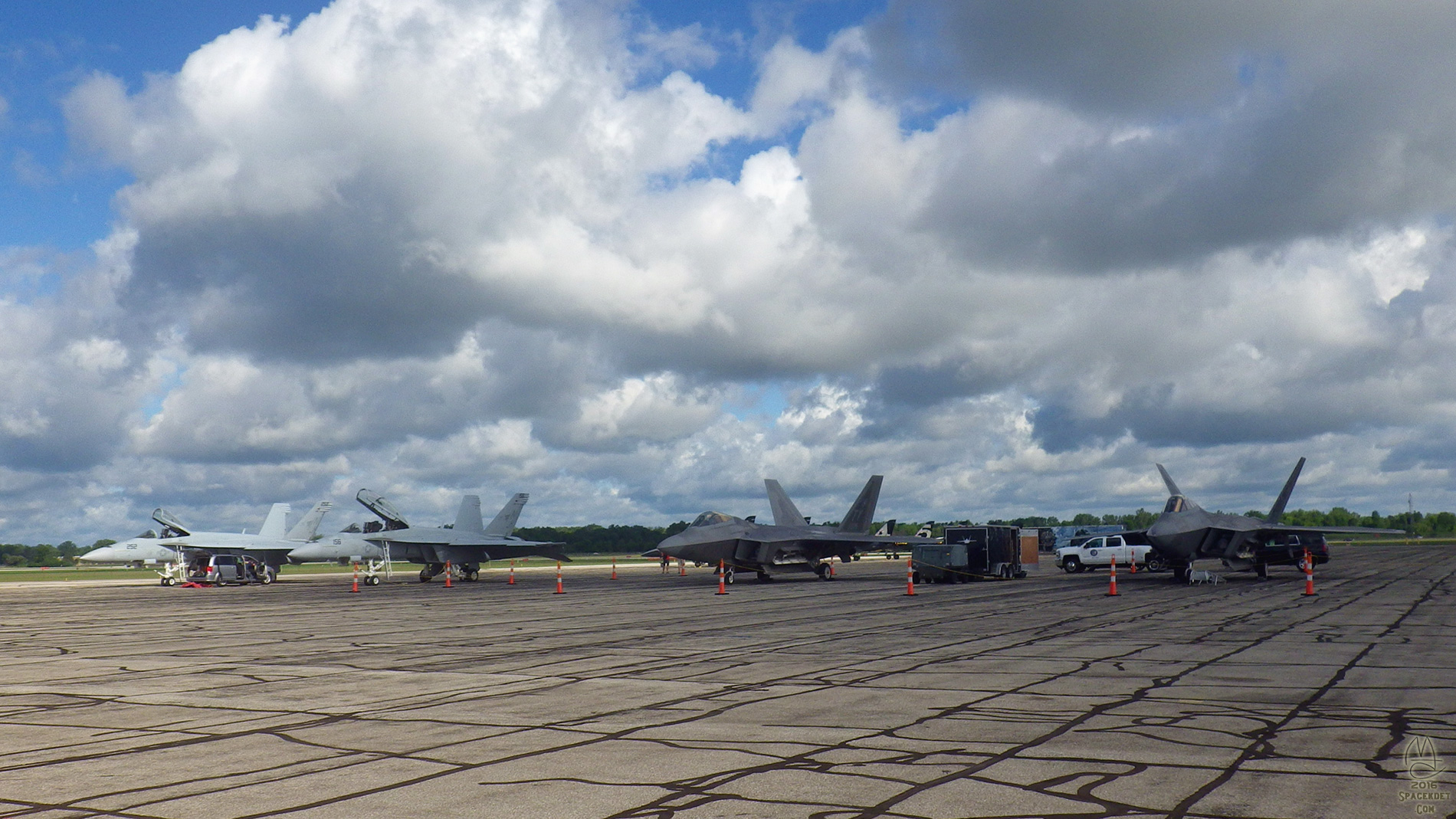 Pair of Hornets and a pair of Raptors.