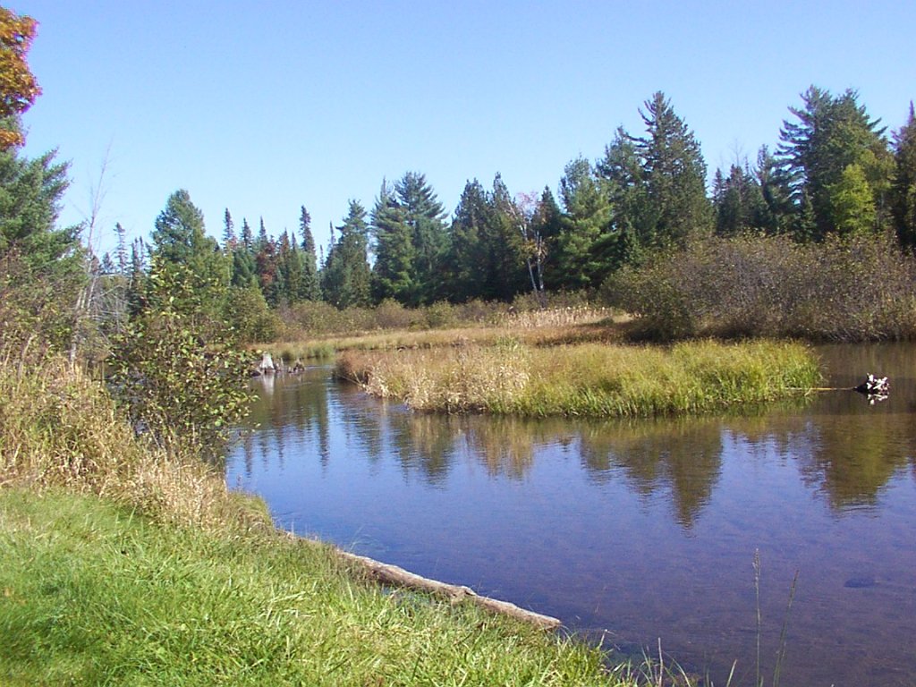 Looking upstream from the canoe launch.