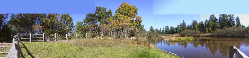 Fence post panorama.