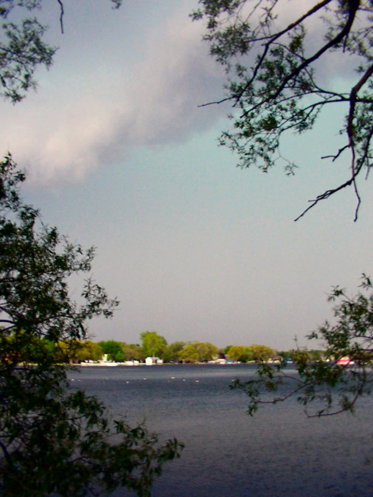 The first gusts ruffle the water.