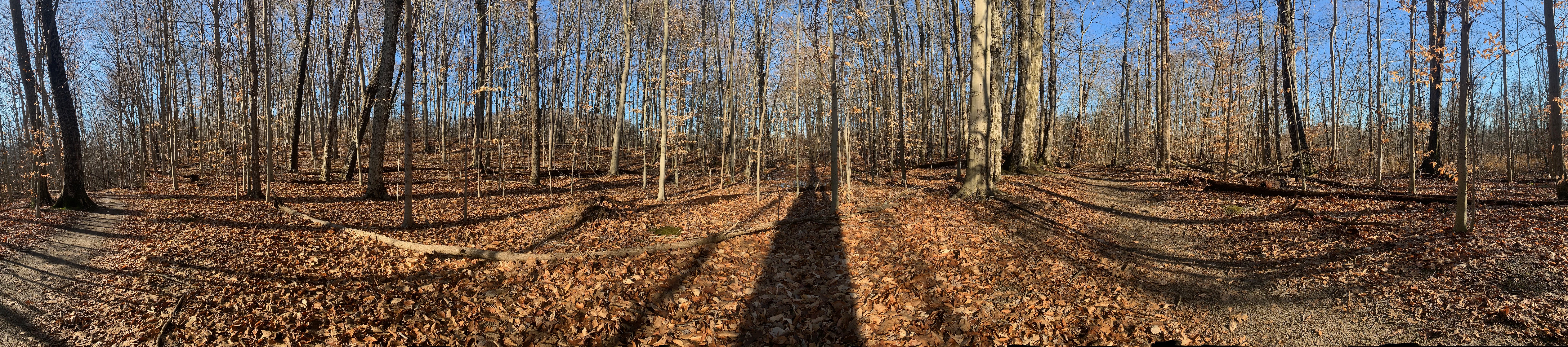 Trail pano.
