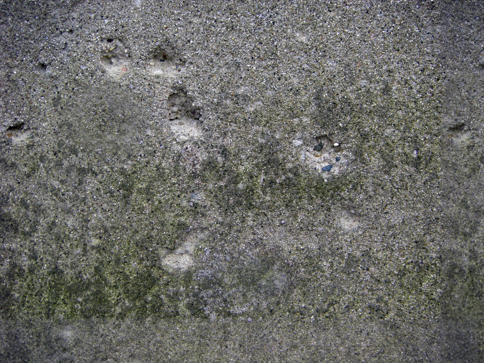 Mossy Concrete 1.