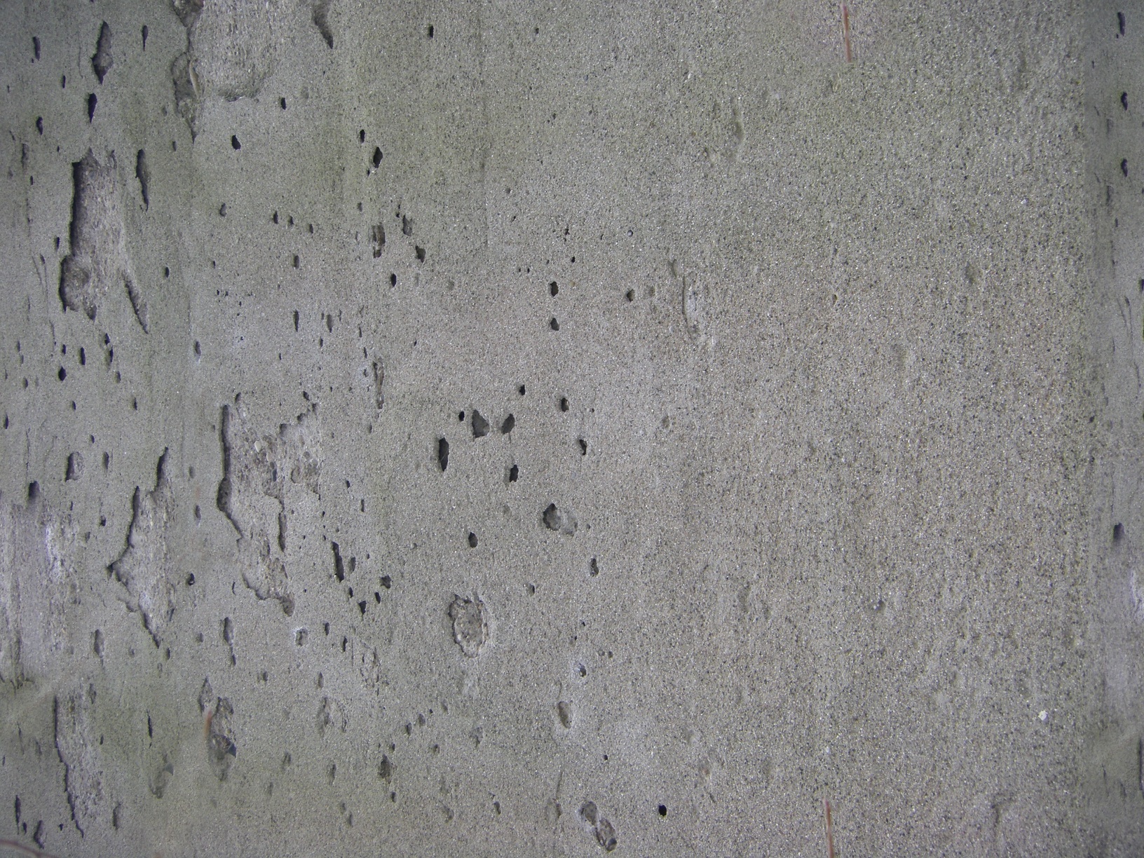 Mossy Concrete 2.
