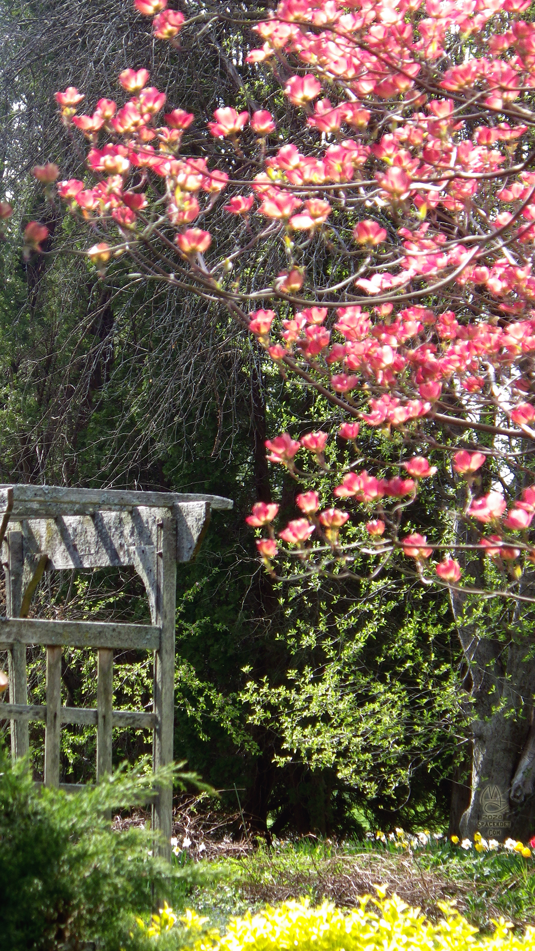 Arbor.