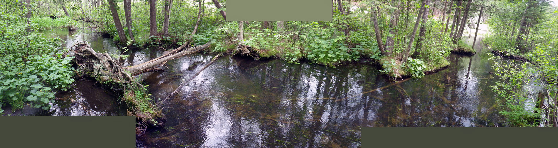 Creek pano, To see the full size image  click here.