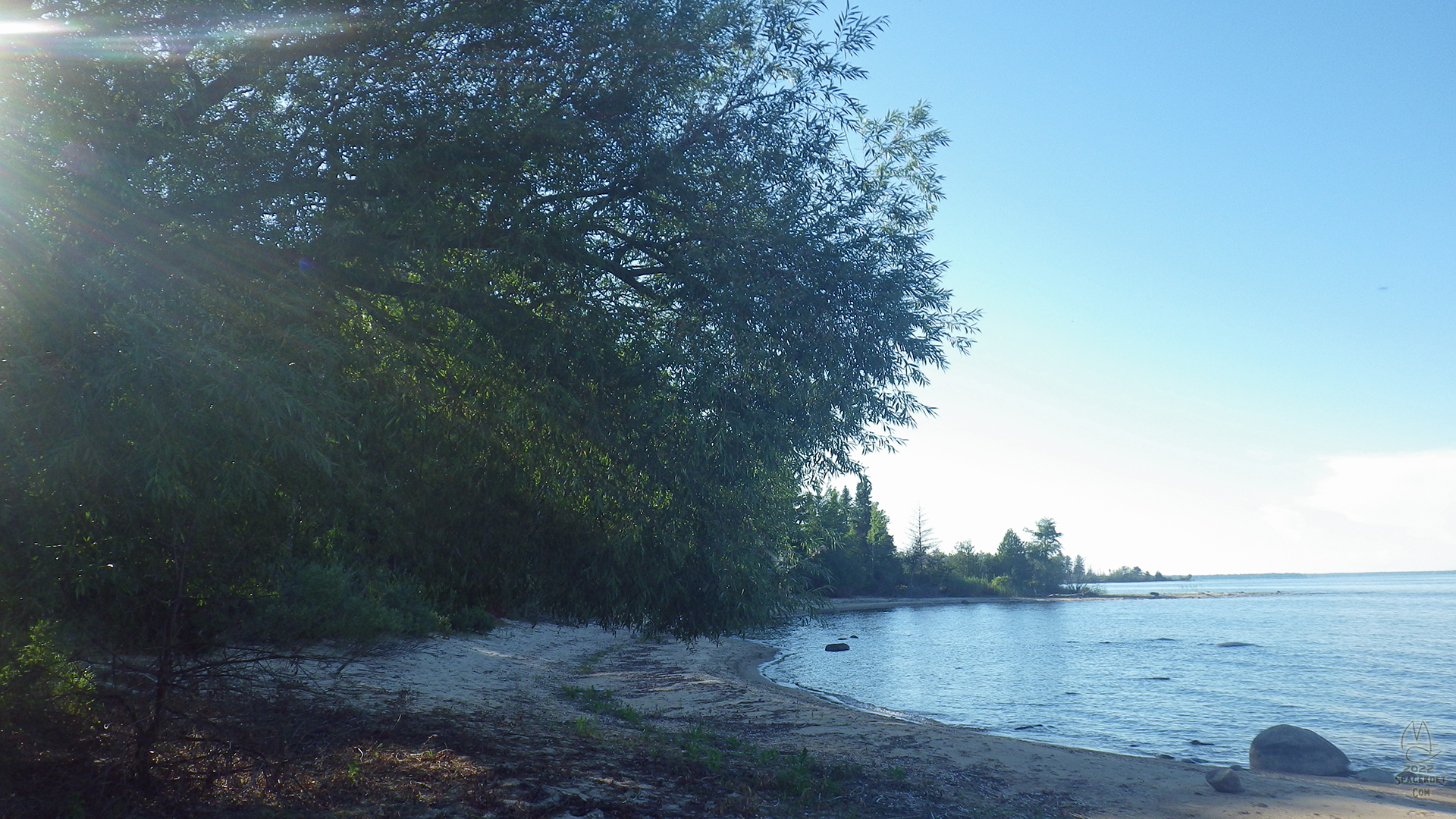 I can sit under a willow by the lake at home, but not like this.