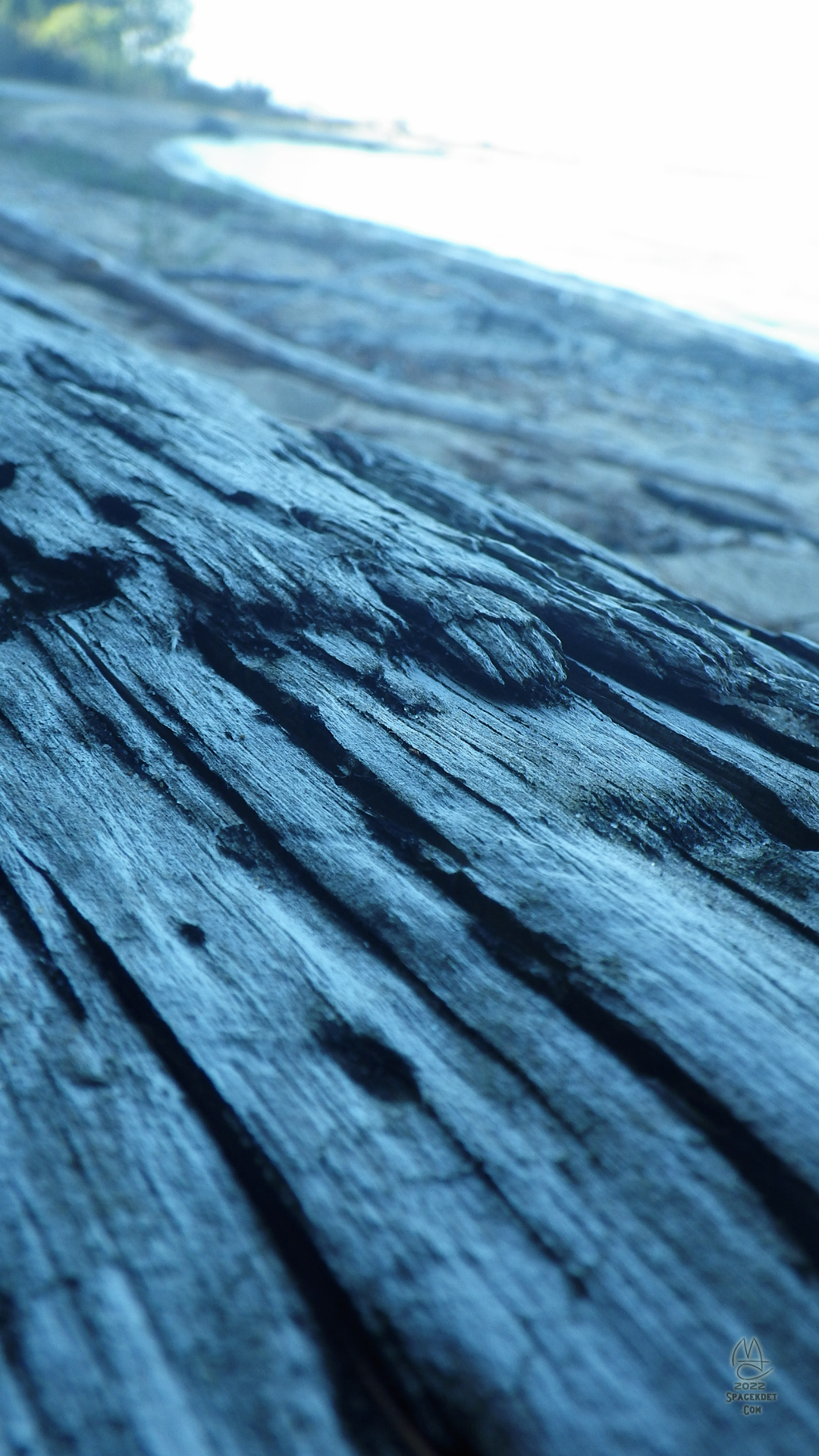 Blue Log.