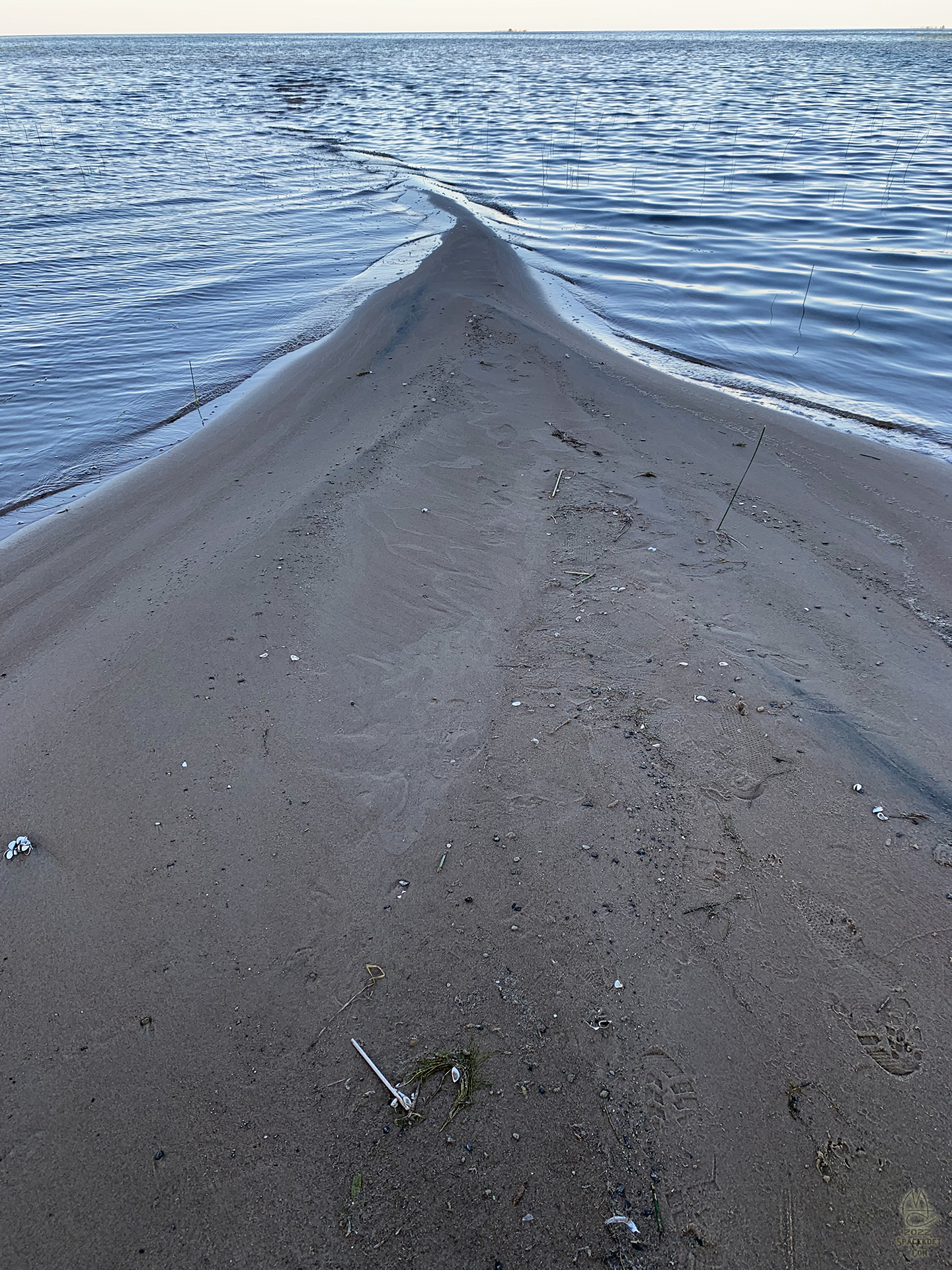 Sandy Finger.