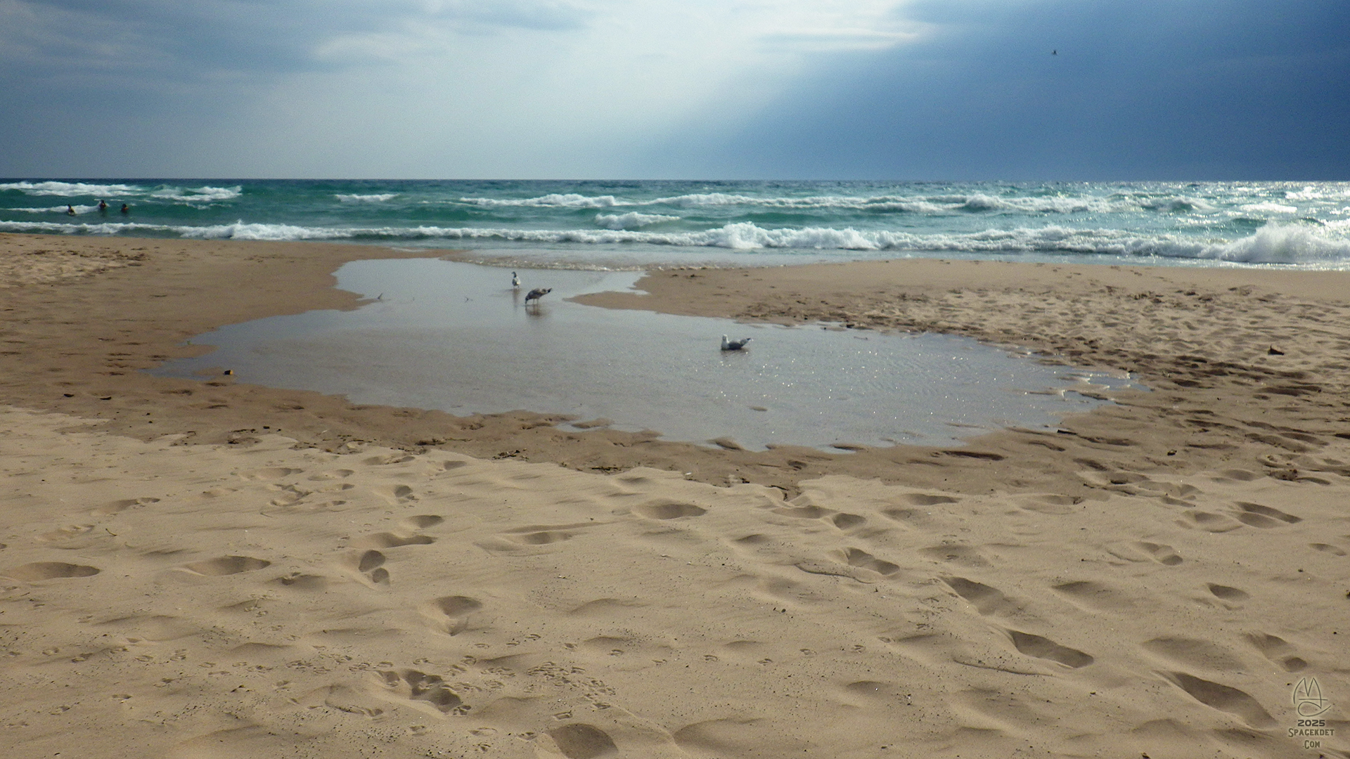 Adjacent pool and gull lavatory.