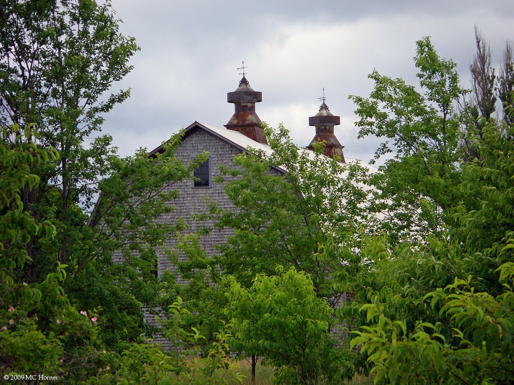East side barn.